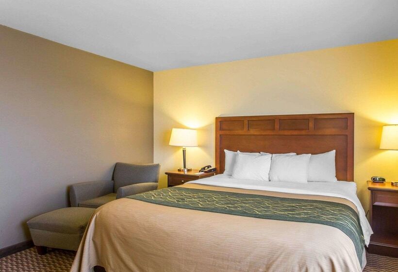 Отель Comfort Inn And Suites