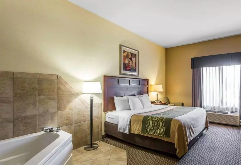 Отель Comfort Inn And Suites