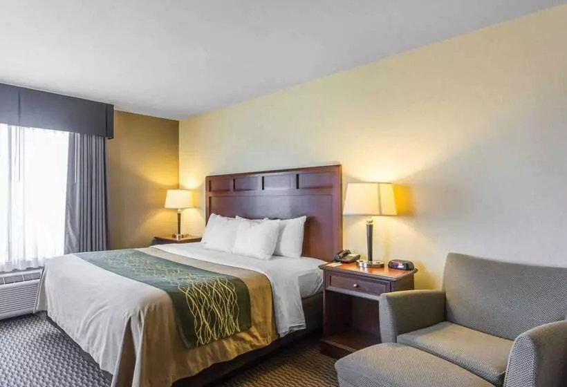 Отель Comfort Inn And Suites