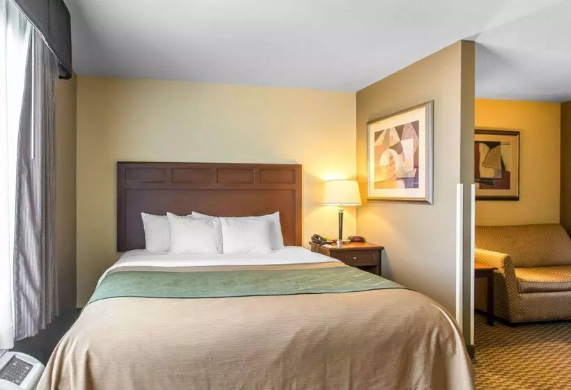 Отель Comfort Inn And Suites