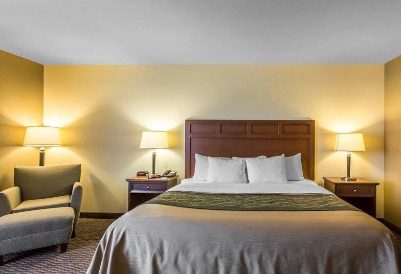 Отель Comfort Inn And Suites