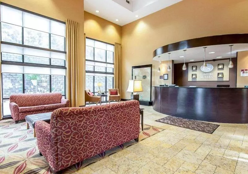 Отель Comfort Suites