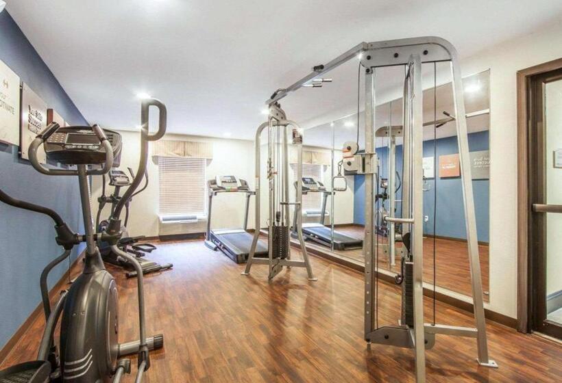 فندق Comfort Suites