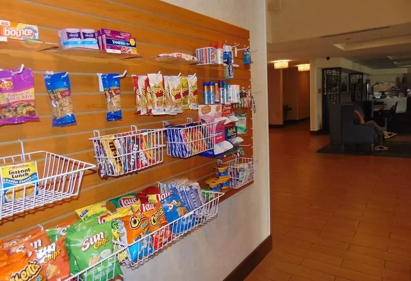 호텔 Holiday Inn Express & Suites Springville South Provo Area, An Ihg