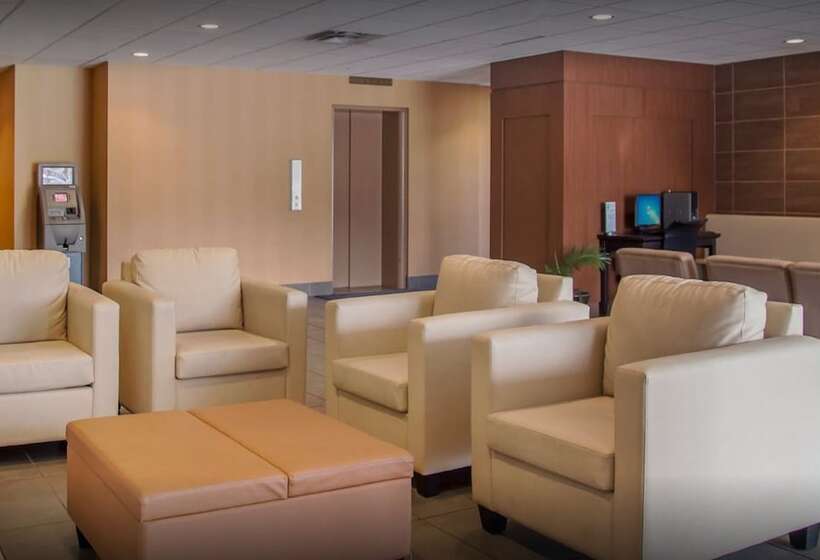 Отель New Lodge