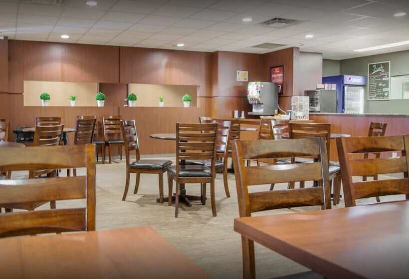 Отель New Lodge