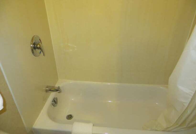 Отель New Lodge