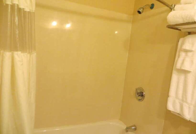 Отель New Lodge