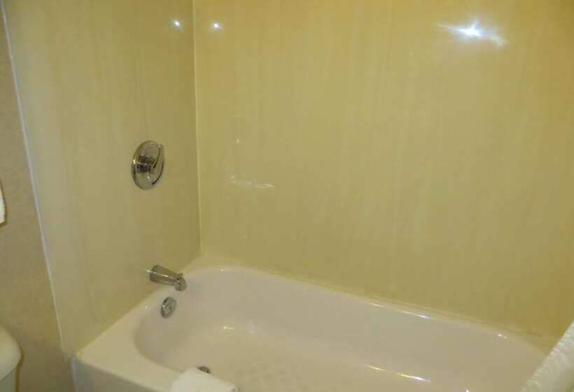 Отель New Lodge