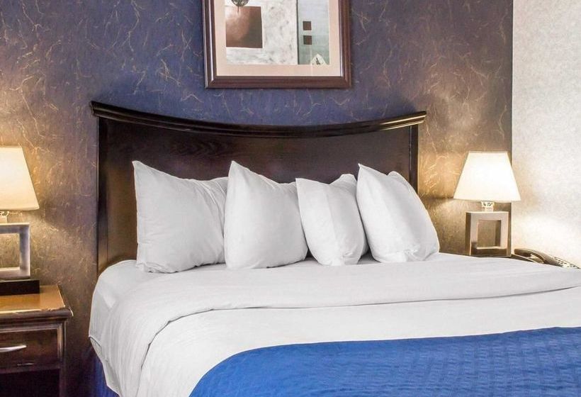 בית מלון כפרי Paramount Inn