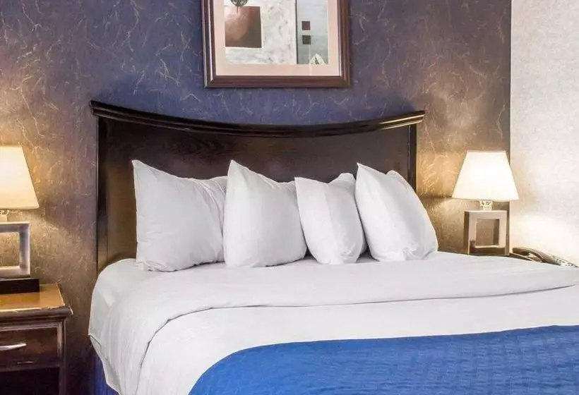 ホテル Paramount Inn