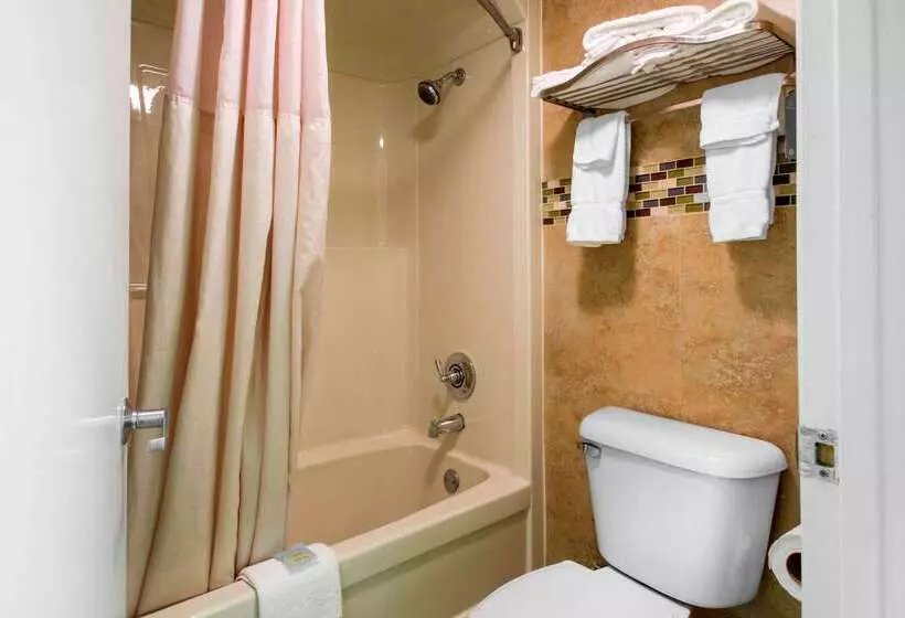 ホテル Quality Inn Maingate West