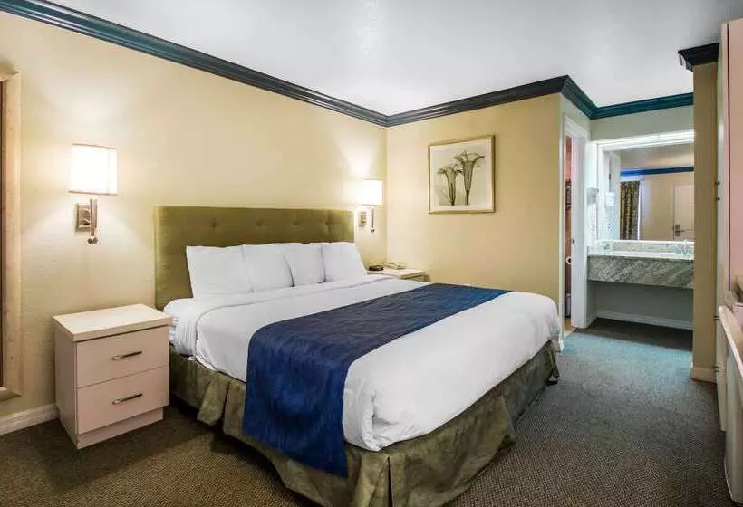 ホテル Quality Inn Maingate West