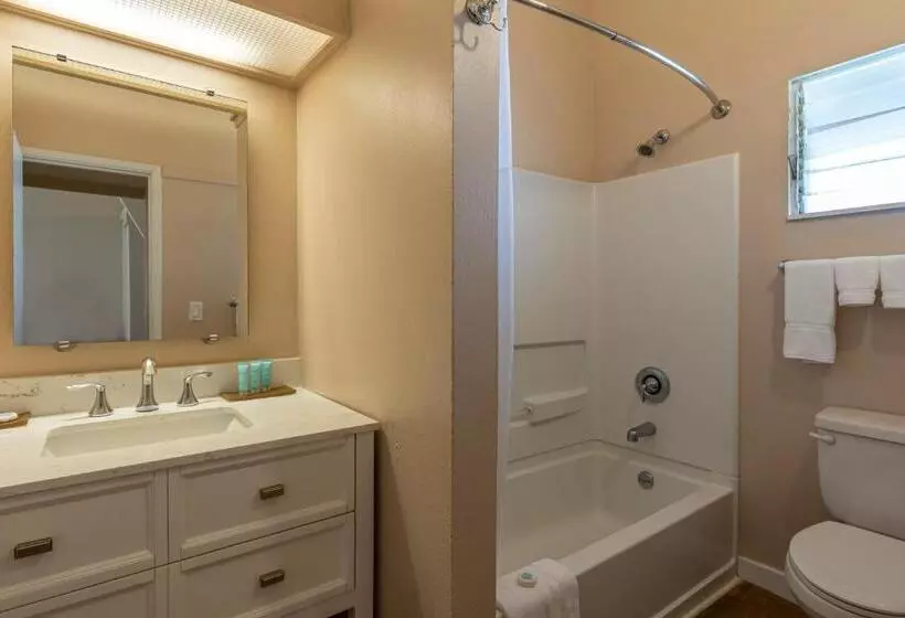 Hotel The Iso By Castle