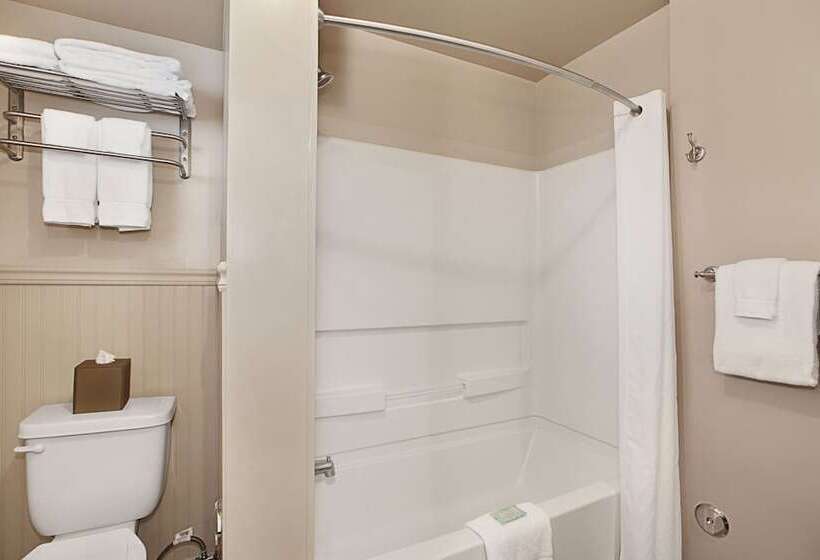 Hotel The Iso By Castle