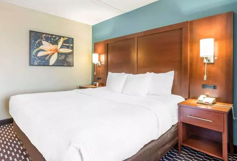 هتل Spark By Hilton St. Augustine Historic District