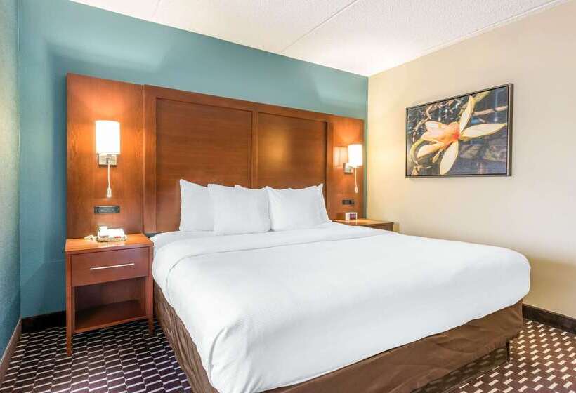 בית מלון כפרי Spark By Hilton St. Augustine Historic District