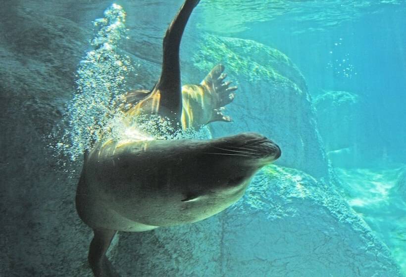 בית מלון כפרי Americas Best Value Inn St. Louis Downtown