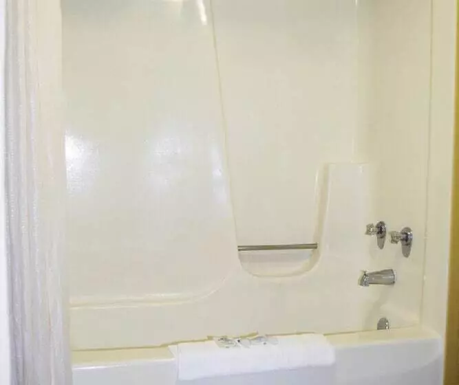 Hotel Americas Best Value Inn St. Louis Downtown