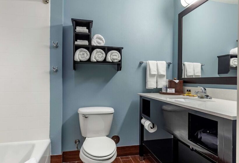 فندق Best Western Plus North Odessa Inn & Suites