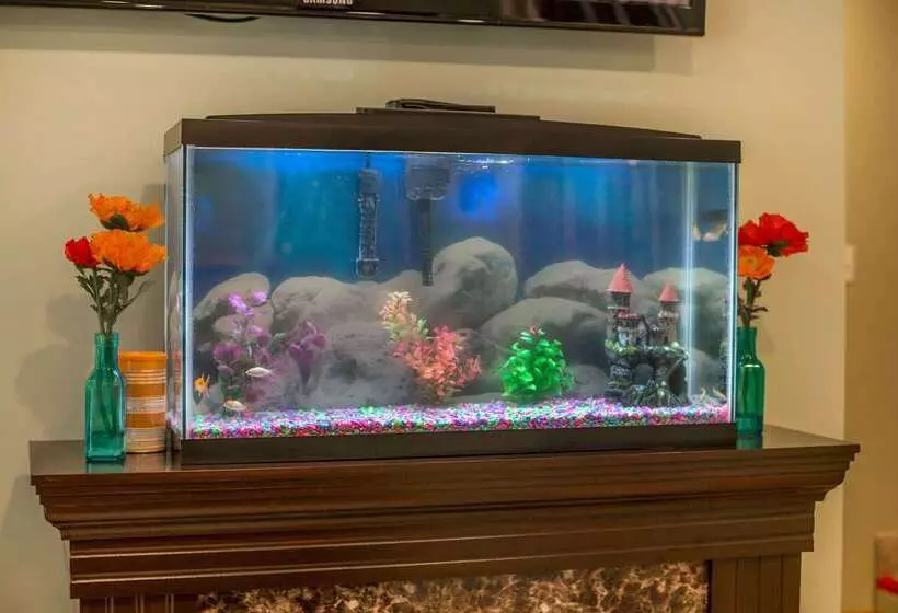 ホテル Econo Lodge Manchester Center