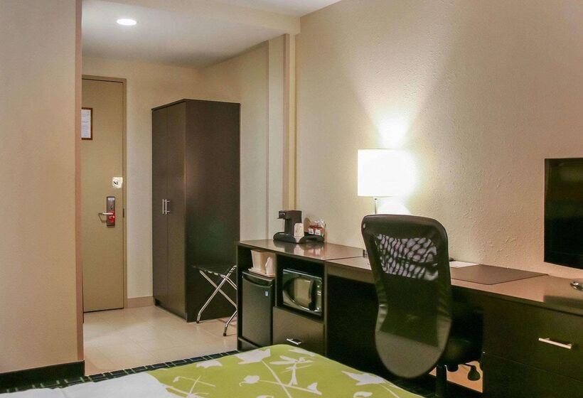 בית מלון כפרי Econo Lodge