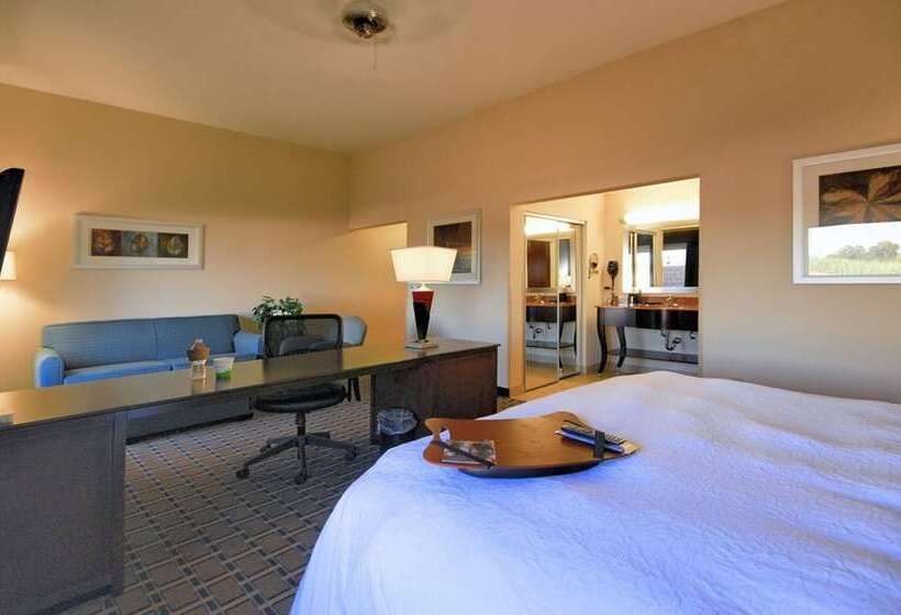 酒店 Hampton Inn & Suites New Iberia Avery Island