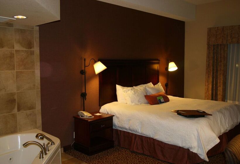 هتل Hampton Inn & Suites Brookings