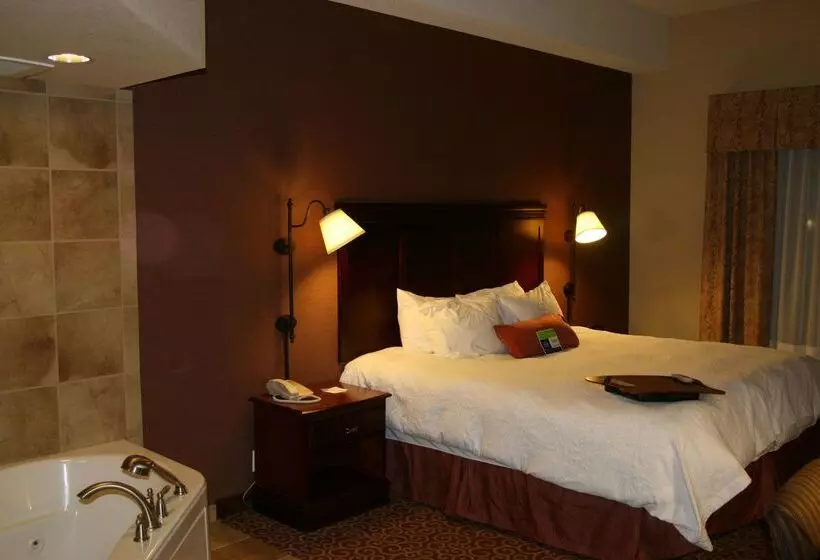 酒店 Hampton Inn & Suites Brookings