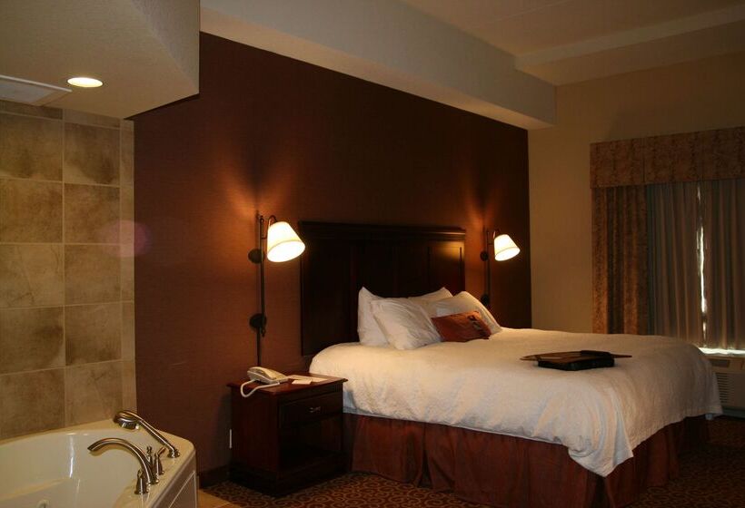 فندق Hampton Inn & Suites Brookings