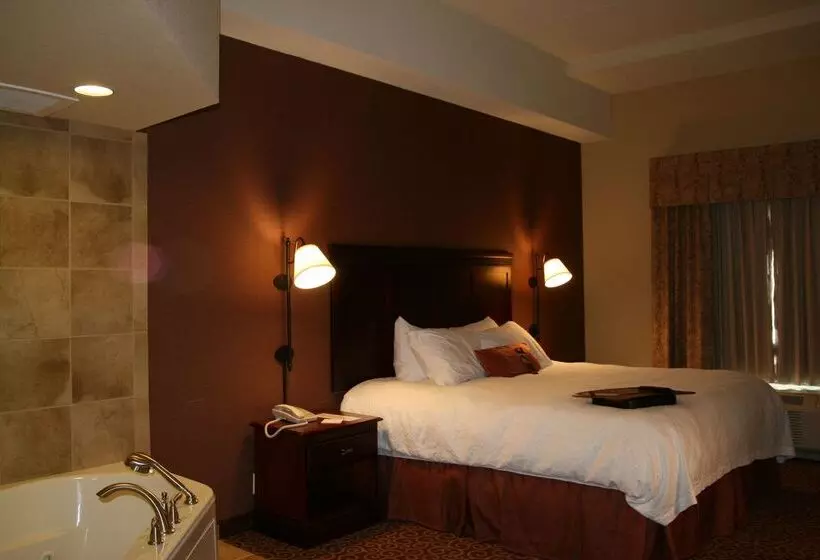 酒店 Hampton Inn & Suites Brookings