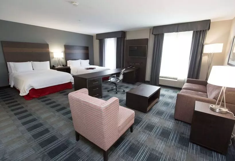 هتل Hampton Inn & Suites Oklahoma City Airport