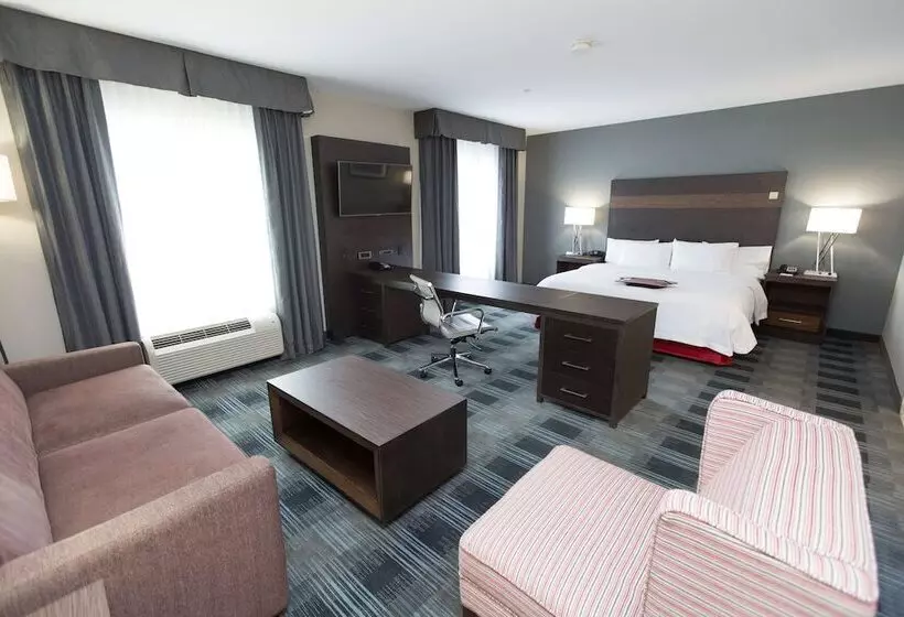 هتل Hampton Inn & Suites Oklahoma City Airport