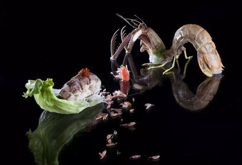 Otel Hilton Zhengzhou