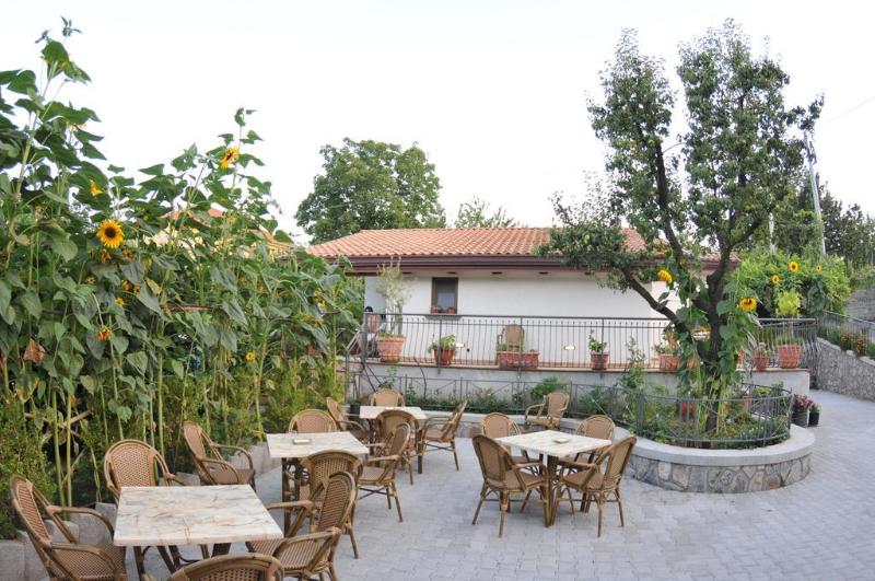 Bed and Breakfast Rabbit