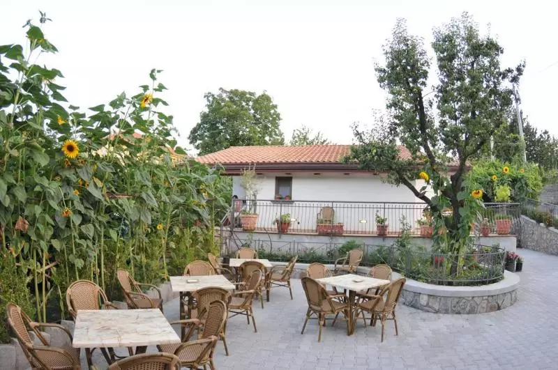 Bed and Breakfast Rabbit