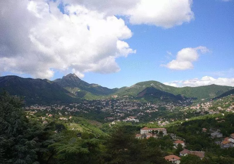 Bed and Breakfast Rabbit