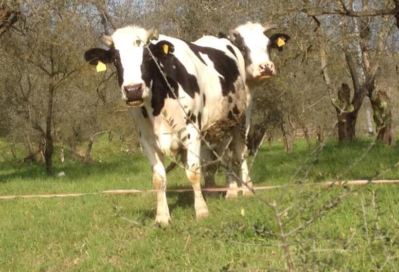 Country Resort Il Frassine