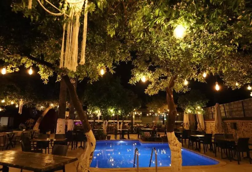 هتل Blue Sea Garden