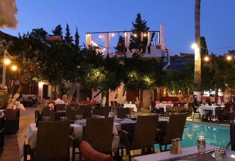 هتل Blue Sea Garden