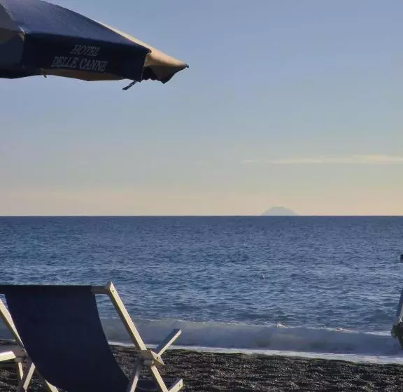 Отель Delle Canne