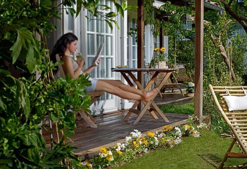 هتل Olympos Lodge