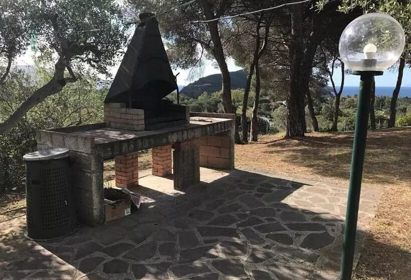 Villa Conti