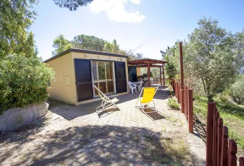 Villa Conti