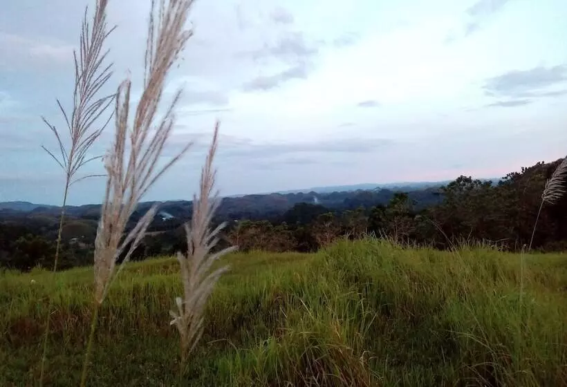 ホテル Batuan Hammock Hostel