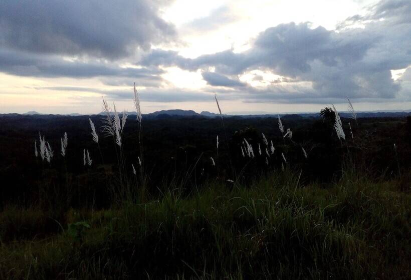 Отель Batuan Hammock Hostel