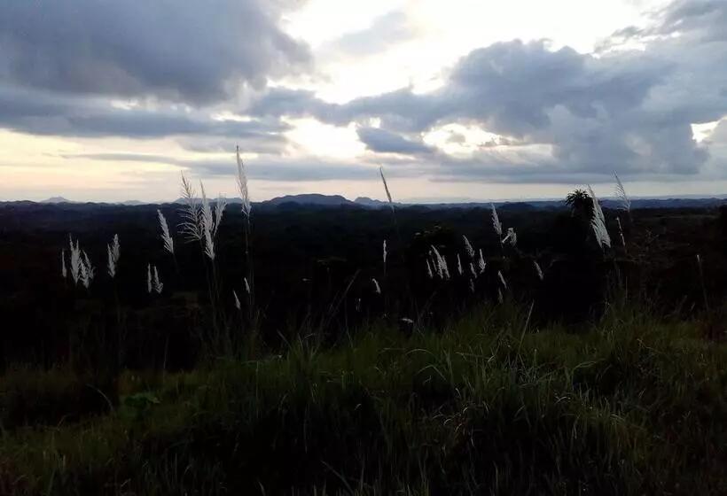 ホテル Batuan Hammock Hostel