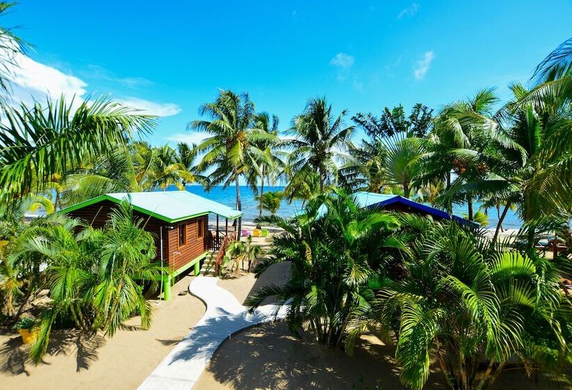 فندق Coconut Row