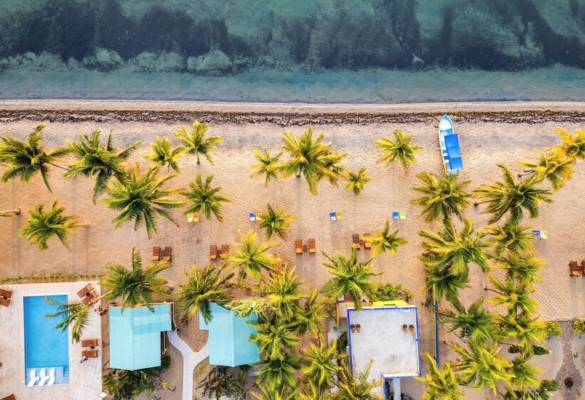 فندق Coconut Row