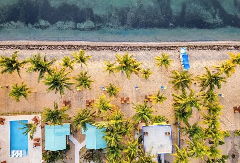 ホテル Coconut Row